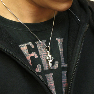 fa-t0110-chain