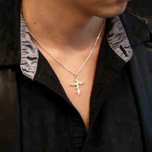 fa-t0095