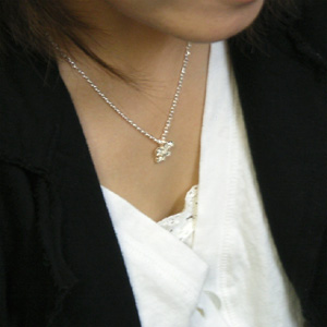 fa-t0093-chain