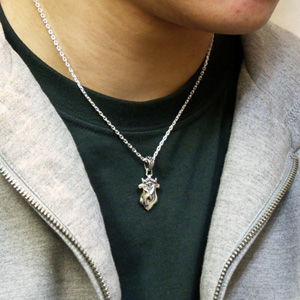 fa-t0086-chain